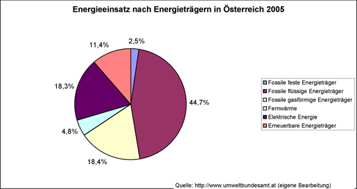 Energieeinsatz nach Energieträgern 2005